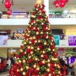Abreeza-Mall-Christmas-Tree-in-Davao-City-2015