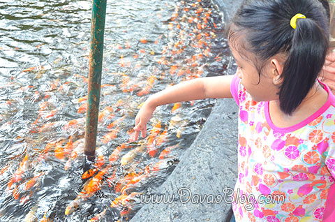 feed-the-fish-Davao-Crocodile-Park-Davao-City-Tourist-Spots