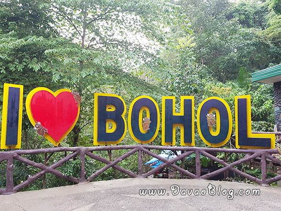 Bohol-Tourist-Spot-Tarsier-sanctuary-in-Bohol-Tarsiers
